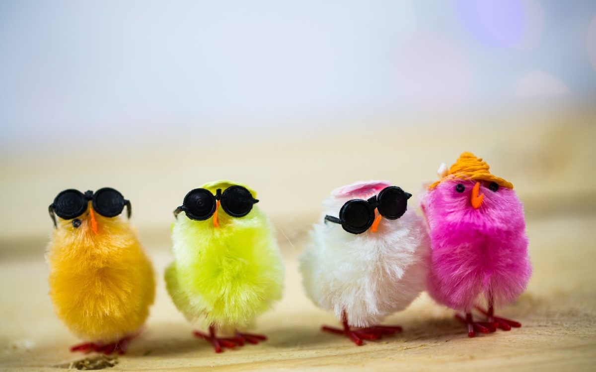 You-Are-Unique-Bird-Lalaa